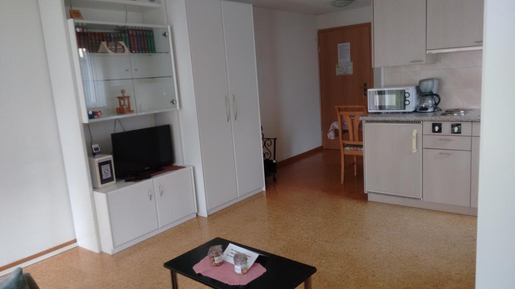 Studio Regli Anne-Maria Apartment Andermatt Εξωτερικό φωτογραφία
